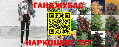 крисы Усть-Джегута
