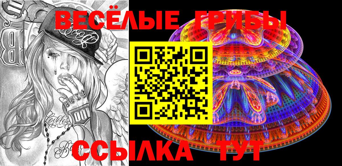 Псилоцибиновые грибы Psilocybine cubensis  Вход с VPN  Чапаевск 